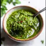 Homemade Zhoug Sauce Recipe