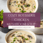 Comforting Rotisserie Chicken and Mushroom Soup Recipe