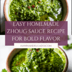 Homemade Zhoug Sauce Recipe