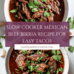 Crockpot Mexican Beef Birria Recipe