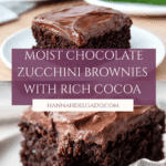 Chocolate Zucchini Brownies Recipe
