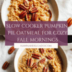 Slow Cooker Pumpkin Pie Oatmeal Recipe