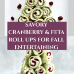Savory Christmas Cranberry Roll Ups Recipe