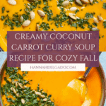 Vegetarian coconut carrot curry soup Recipe