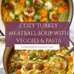 Turkey Meatball Soup Recipe