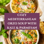 Mediterranean Orzo Soup Recipe