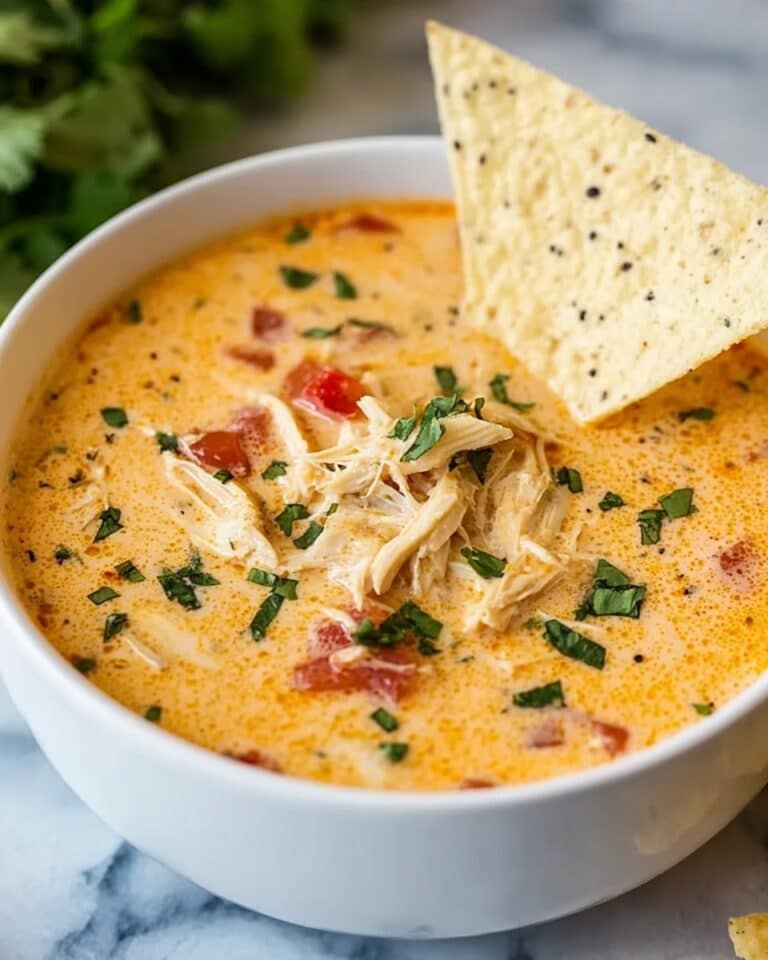 Crock Pot King Ranch Chicken Soup Recipe
